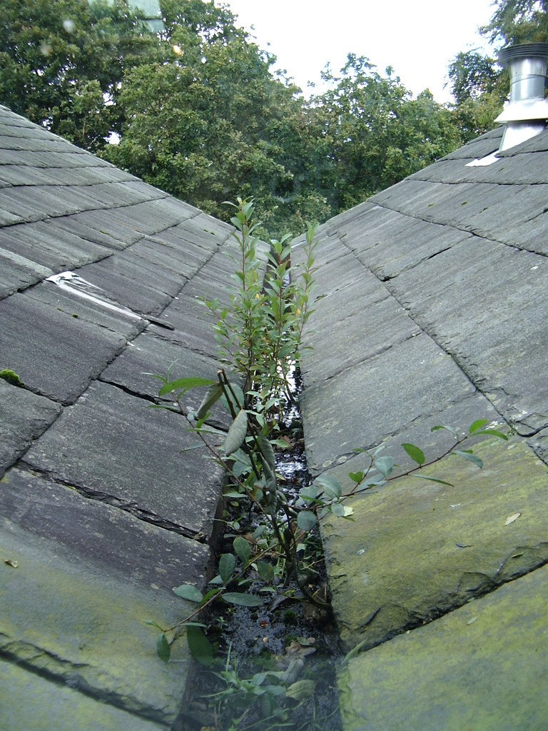 Gutter system on residential building showing home maintenance infrastructure